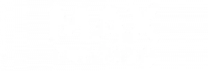 Logo MAX Renting