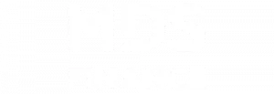 Logo MDS Finance